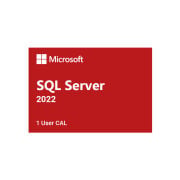 MICROSOFT SQL SERVER 2022 1 USER CAL LISANS DG7GMGF0MF3T0002CO