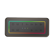 MICROLAB M60 Vega, 100W, Taşınabilir, BT/USB/AUX/TF/Type-C, RGB Işıklı, 15000mAh Batarya, 2adet Mikrofon, Karaoke/Parti, Bluetooth Speaker,
