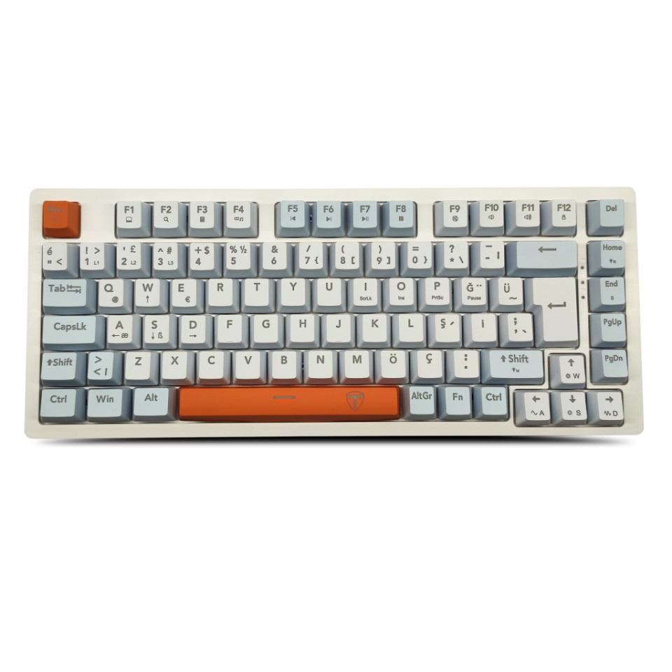 T-DAGGER T-TGK326WBO, MEGATRE, USB Kablolu, Türkçe Q,  Rainbow Backlight, Red Mekanik Switch, 82 Tuşlu, Gaming Klavye