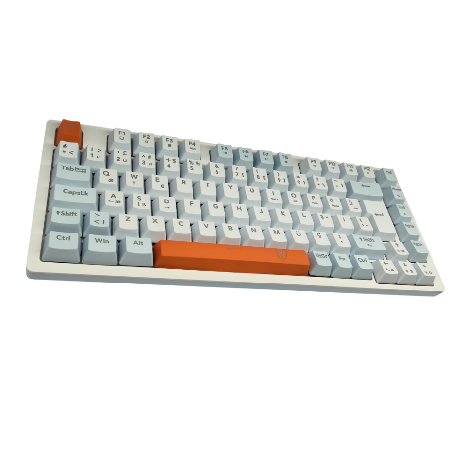 T-DAGGER T-TGK326WBO, MEGATRE, USB Kablolu, Türkçe Q,  Rainbow Backlight, Red Mekanik Switch, 82 Tuşlu, Gaming Klavye