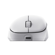 PHILIPS SPK9418W, EVNIA, Beyaz, USB Nano 2,4Gh ve Bluetooth Kablosuz, 12.000dpi, Optic, 6 Programlanabilir Buton, Şarj Edilebilir, GAMING Mouse