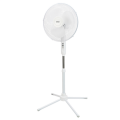 EVEREST FAN10, BEYAZ, EcoWind, 3 Kademeli Hız, 40cm 3 Kanat Pervane ve Çerçeve, 45W, Otomatik Salınım, Yükseklik Ayarlı Vantilatör