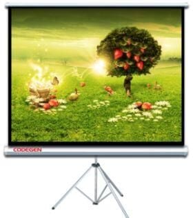 CODEGEN TX-20 200x200 Ayaklı Projeksiyon Perdesi