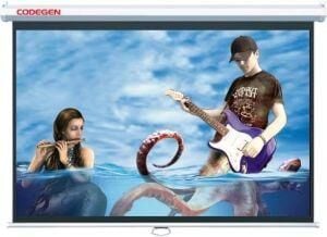CODEGEN AX-24 240x200 Storlu Projeksiyon Perdesi