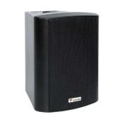 WESTA WS-5TB 13CM HAT TR. PLASTİK KABİN HOPARLÖR SİYAH 125TW