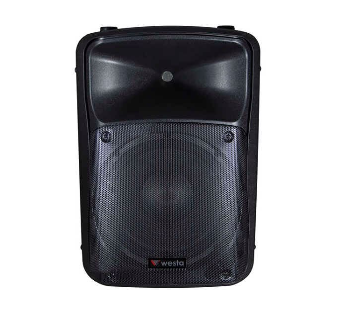 WESTA WSS-1555 15'' KABİN HOPARLÖR - PASİF