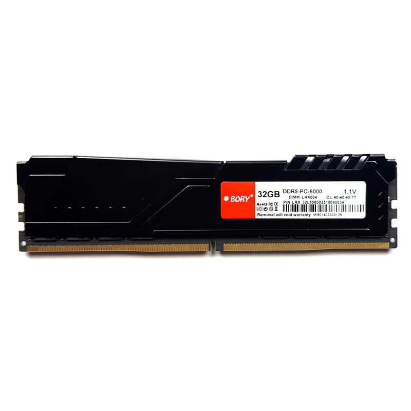 32 GB DDR5 6000MHZ BORY GAMING SOGUTUCULU KUTULU DESKTOP